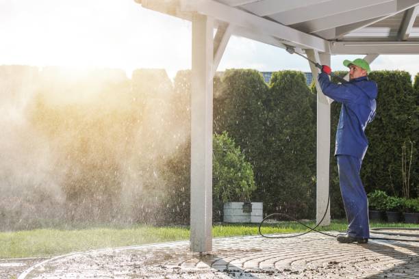 Best Solar Panel Cleaning  in Laguna Heights, TX